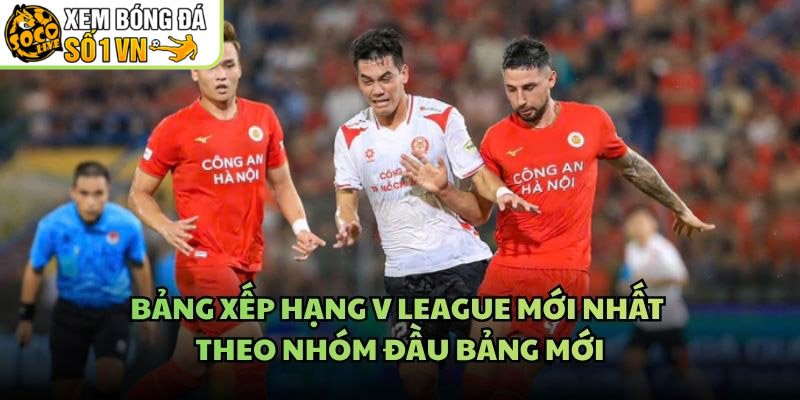 Bảng Xếp Hạng V League Mới Nhất - Theo Nhóm Đầu Bảng Mới