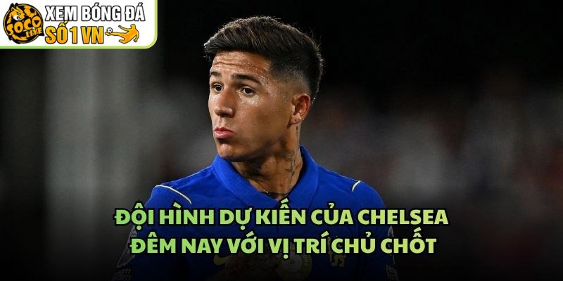 Đội Hình Dự Kiến Của Chelsea Đêm Nay Với Vị Trí Chủ Chốt