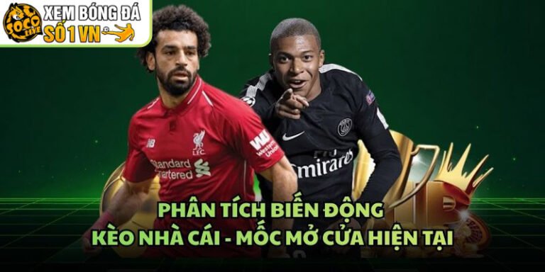 Phân Tích Biến Động Kèo Nhà Cái - Mốc Mở Cửa Hiện Tại