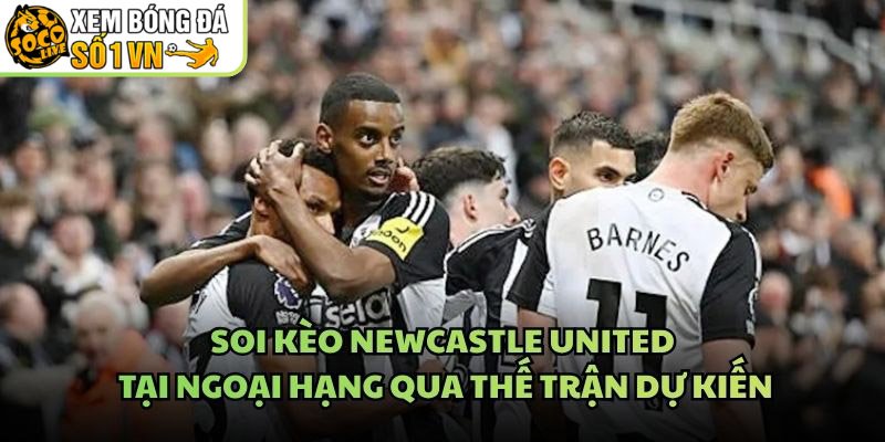 Soi Kèo Newcastle United Tại Ngoại Hạng Qua Thế Trận Dự Kiến