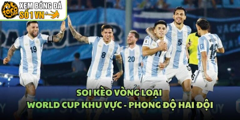 Soi Kèo Vòng Loại World Cup Khu Vực - Phong Độ Hai Đội