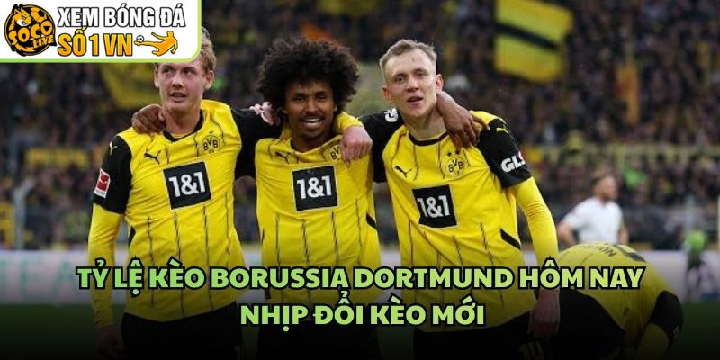 Tỷ Lệ Kèo Borussia Dortmund Hôm Nay – Nhịp Đổi Kèo Mới